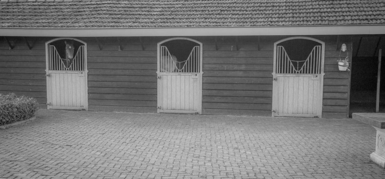 Bed and Breakfast Bed En Box 3610 à Oirschot Extérieur photo